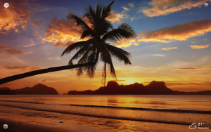 hawaiian sunset palms