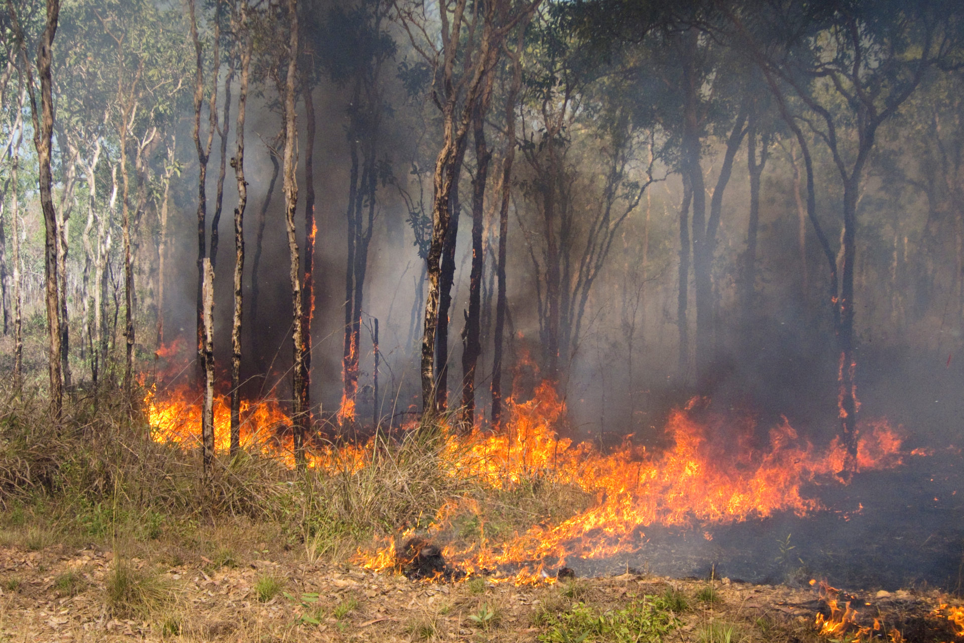 Bushfire in Kakadu National Park