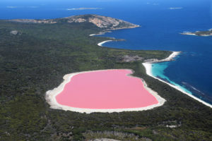 Lake Hillier in Australia